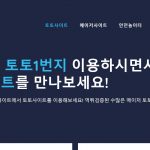 모터스포츠에 대한 베팅: NASCAR 및 포뮬러 원 팬을 위한 팁